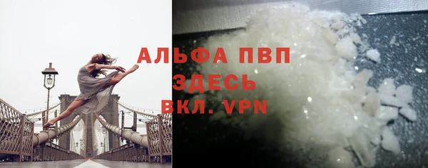 амф Верея
