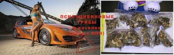 МДПВ Верхний Тагил