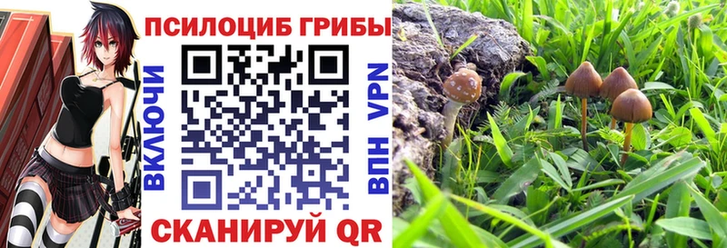 Галлюциногенные грибы GOLDEN TEACHER  Купить где  Ивантеевка 